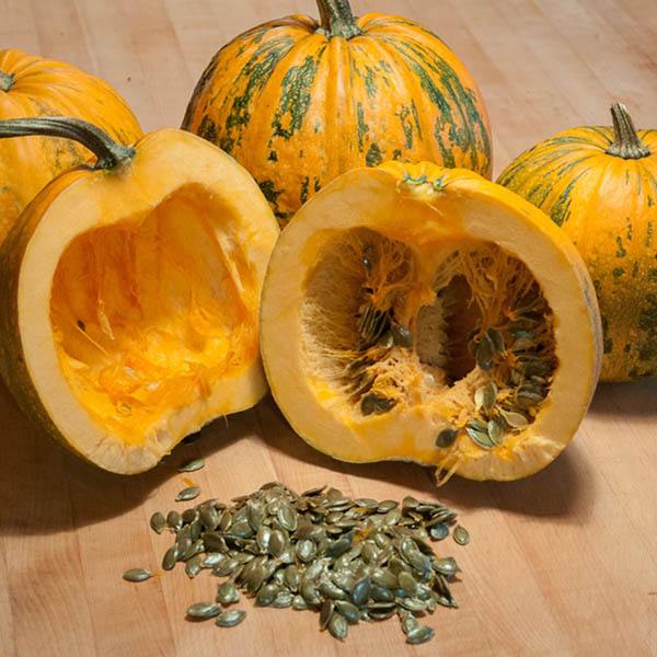 Heirloom Pumpkin Seeds, Sprouted Organic