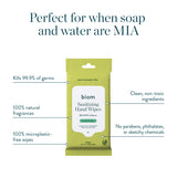 Hand Sanitizing Wipes - Travel Packs