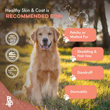 Healthy Skin & Coat for Dogs BestLife4Pets 