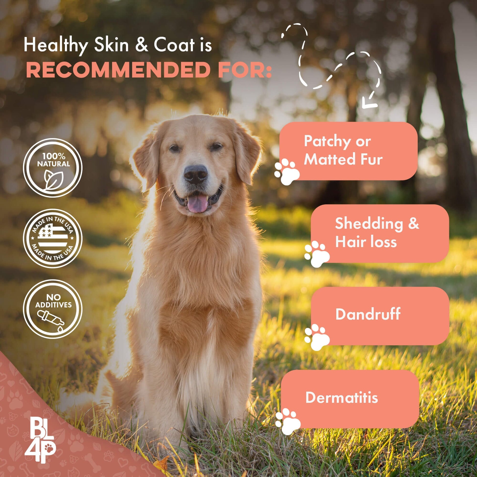 Healthy Skin & Coat for Dogs BestLife4Pets 