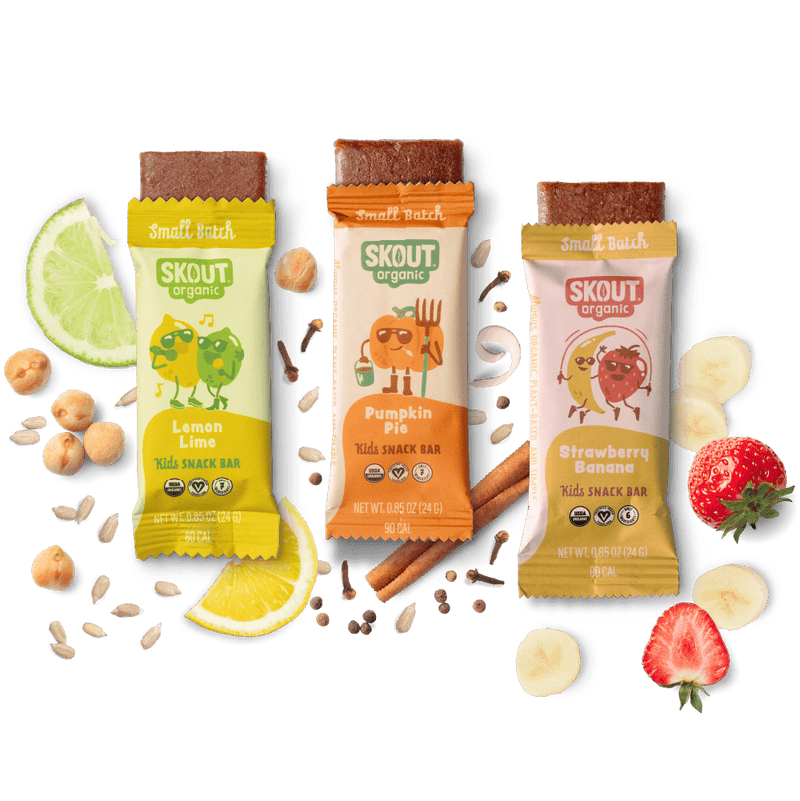 Skout Organic Small Batch Kids Bar Bundle