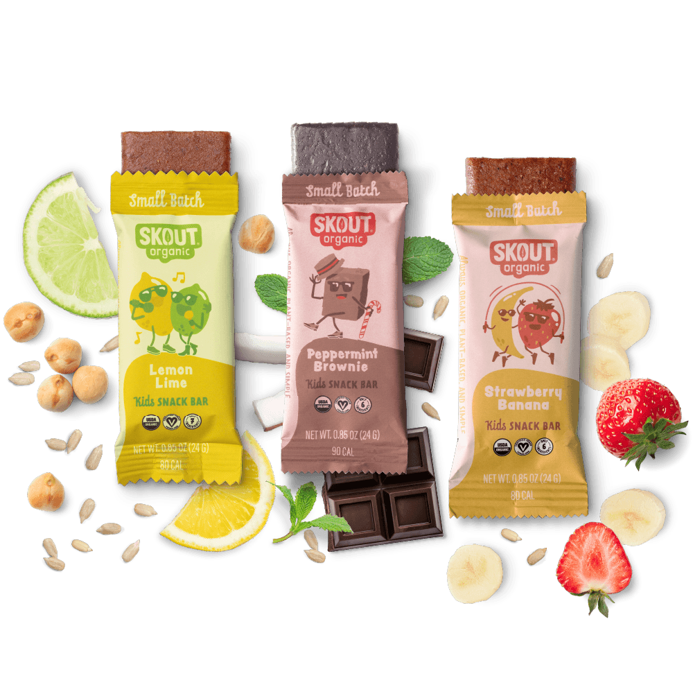Skout Organic Small Batch Kids Bar Bundle