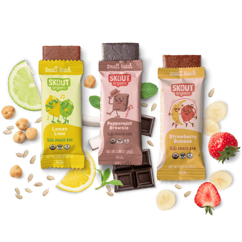 Skout Organic Small Batch Kids Bar Bundle