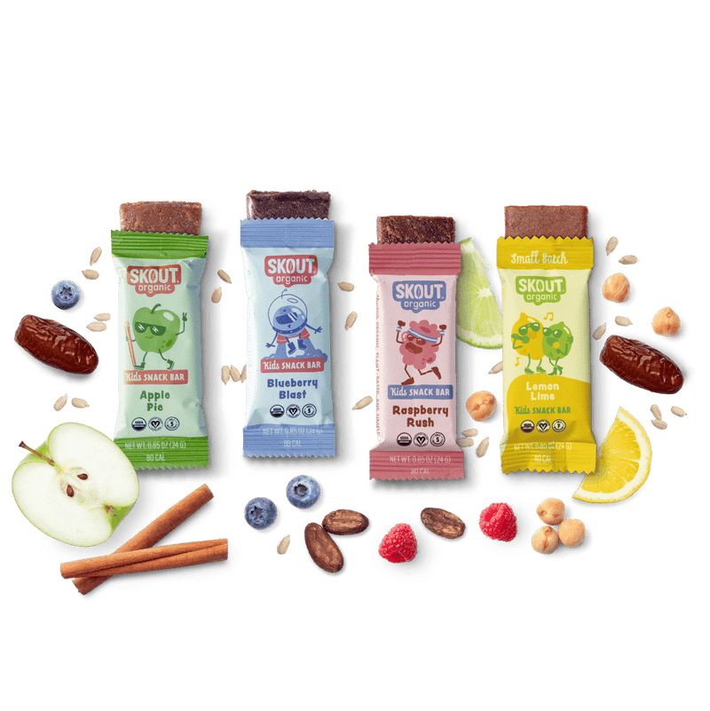 Skout Organic Small Batch Kids Fruit Bar Variety Pack