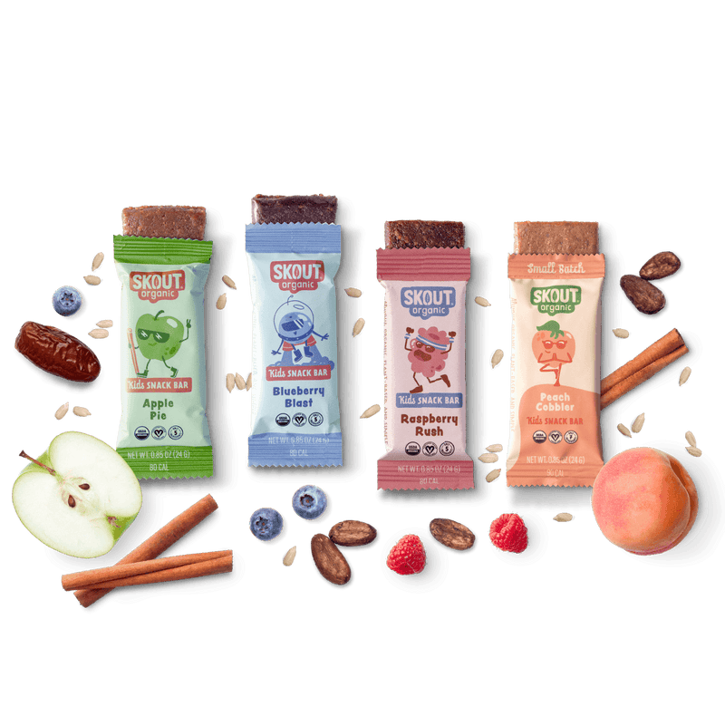 Skout Organic Small Batch Kids Fruit Bar Variety Pack