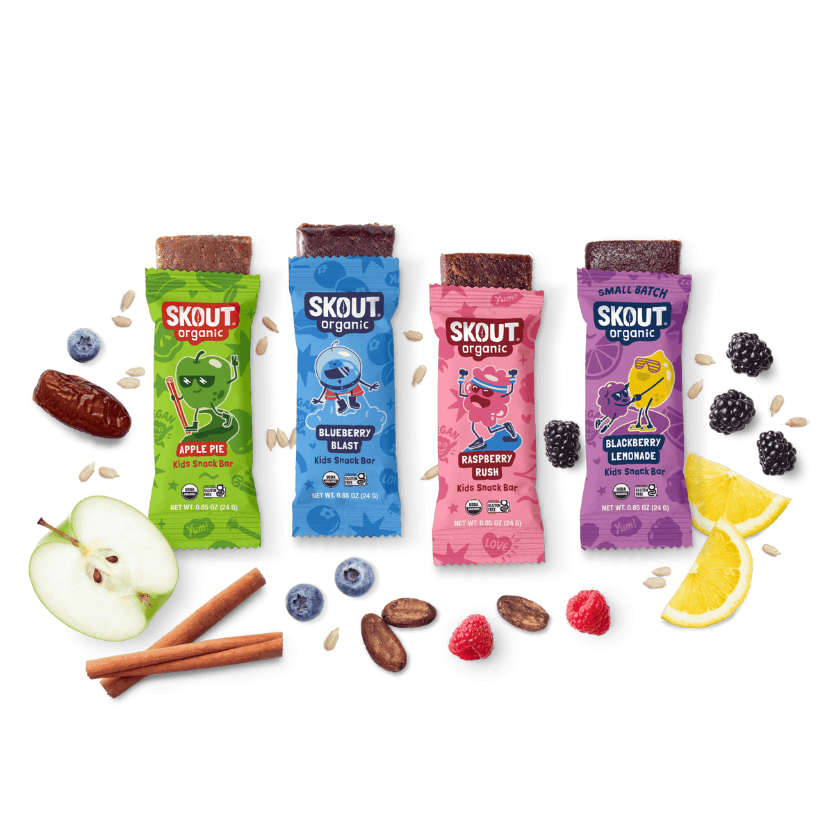 Skout Organic Small Batch Kids Fruit Bar Variety Pack