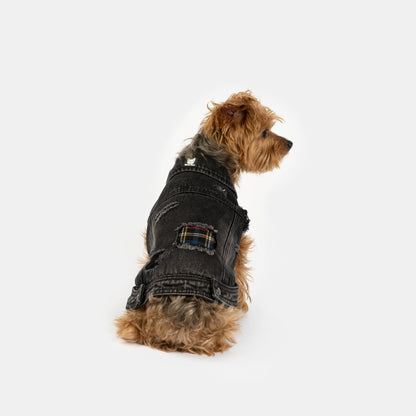 Spencer Dog Jacket