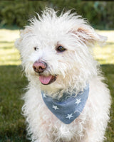 ADVENTURE BANDANA by MODERNBEAST