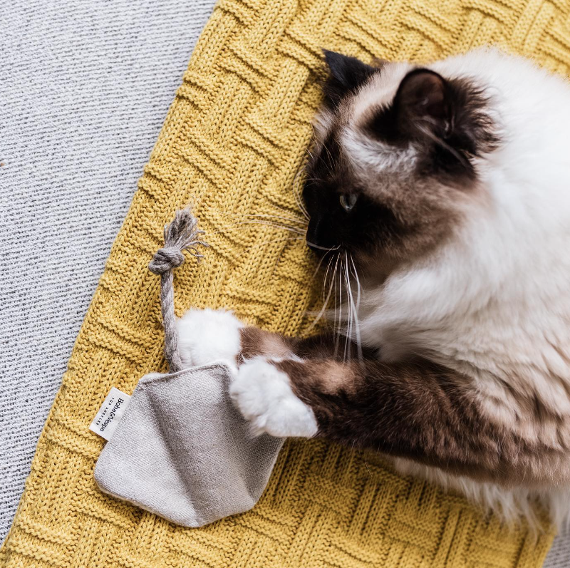Stingray Cat Toy in Cotton with Buckwheat for Crinkles and Organic Catnip