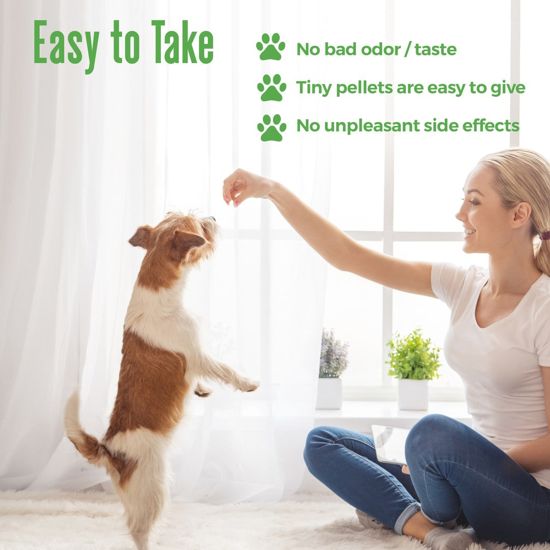 WALK-EASY™ Extra Strength Natural Pain Relief for Dogs - Helps Dog Joint Pain, Arthritis, ACL, Limping and More by BestLife4Pets