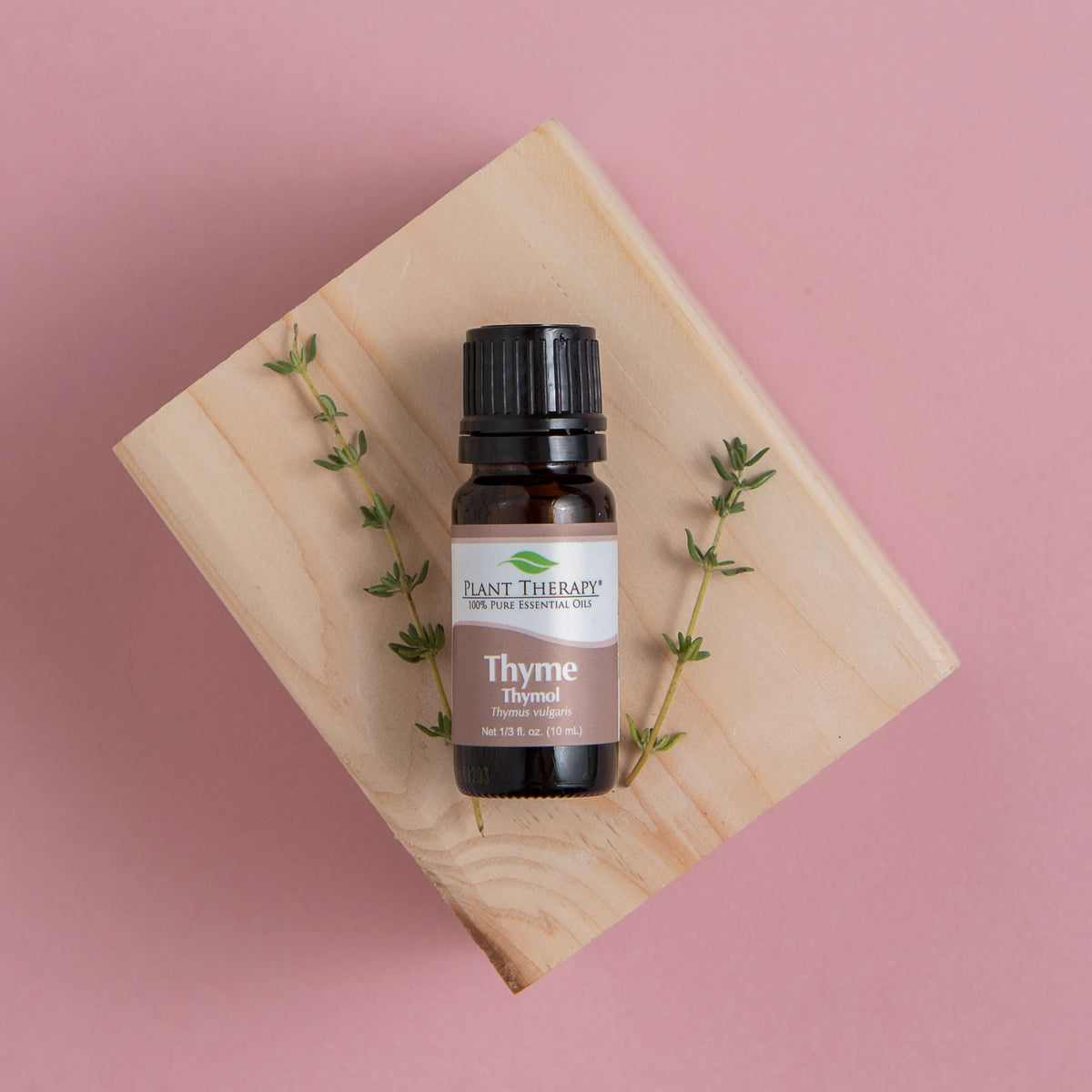 Thyme Thymol Essential Oil