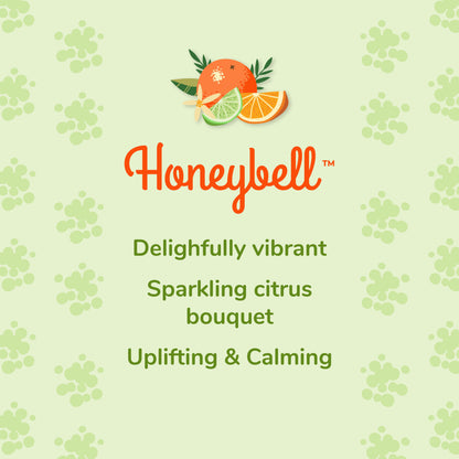 Tropical Scents Home Set