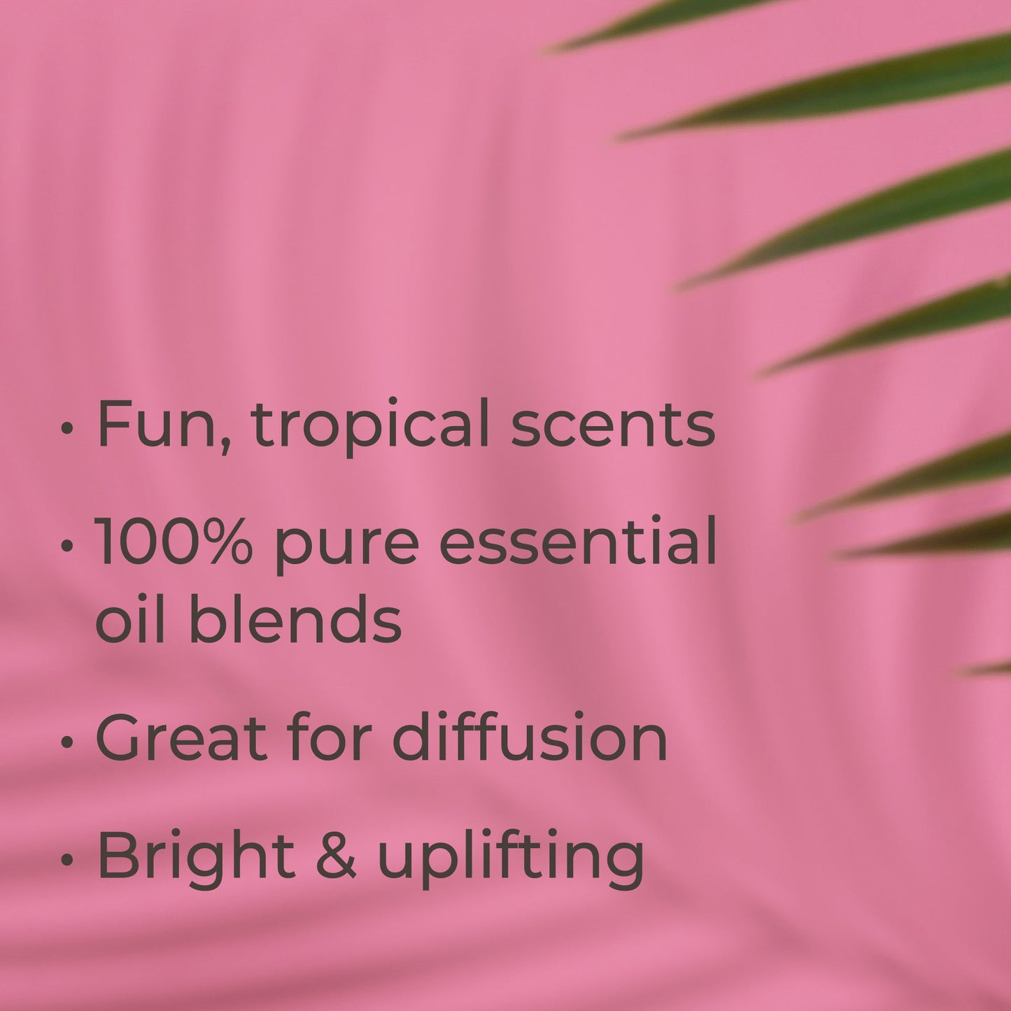 Tropical Scents Home Set