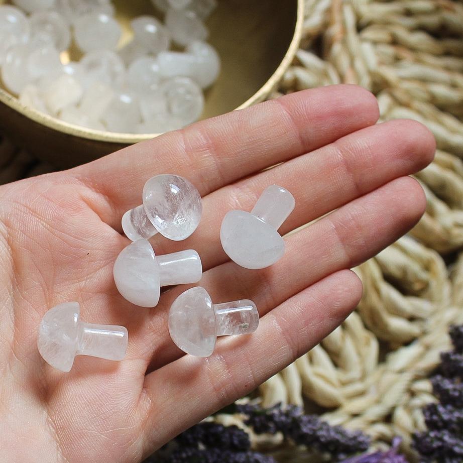 Mini Crystal Mushrooms