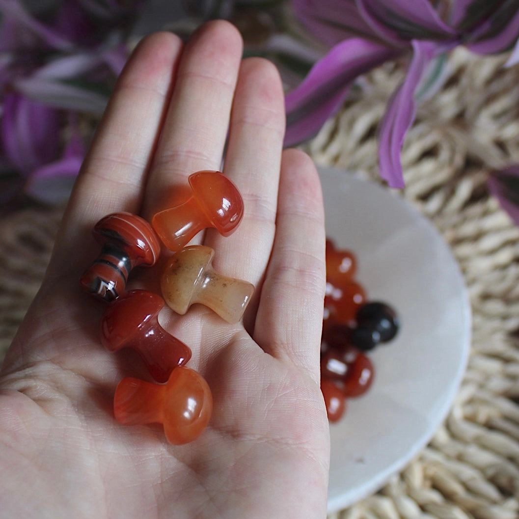 Mini Crystal Mushrooms