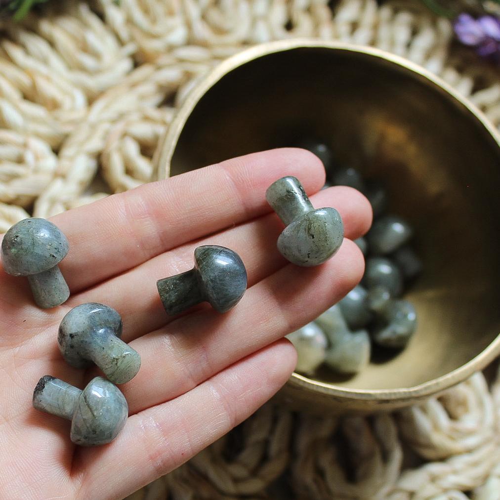 Mini Crystal Mushrooms