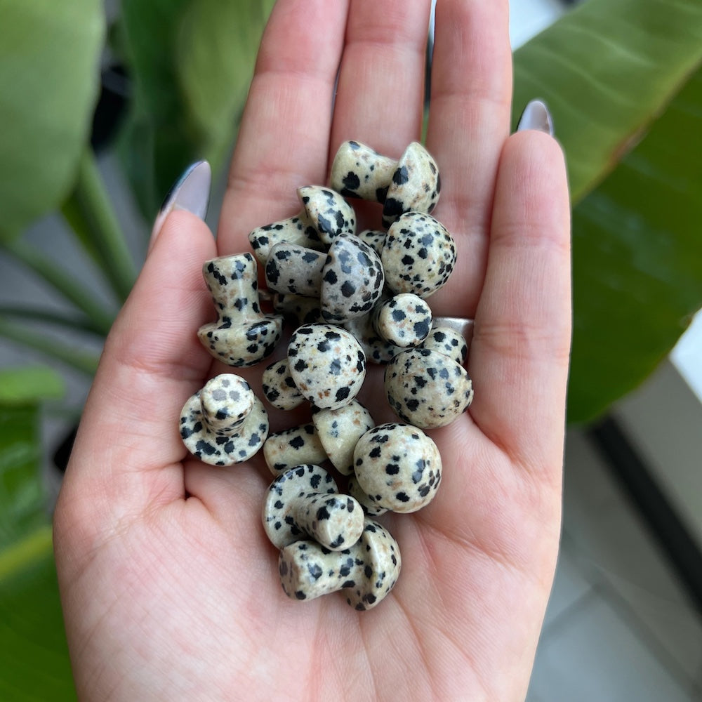 Mini Crystal Mushrooms