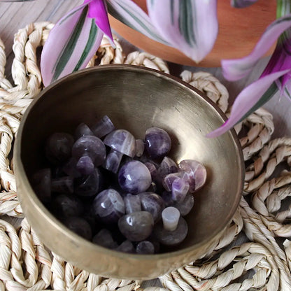 Mini Crystal Mushrooms