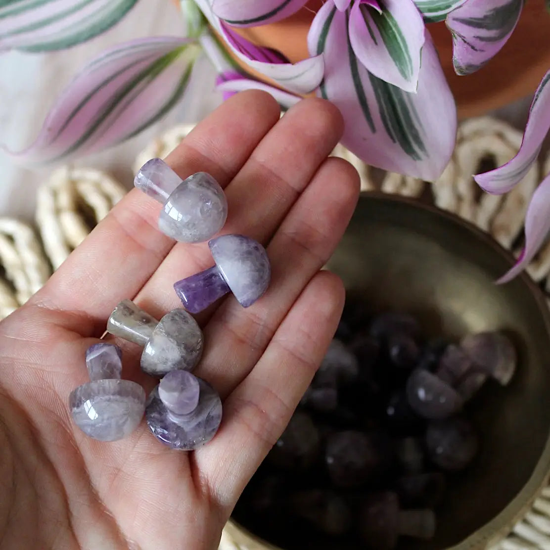 Mini Crystal Mushrooms