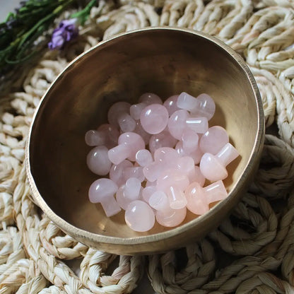 Mini Crystal Mushrooms