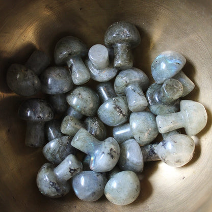 Mini Crystal Mushrooms