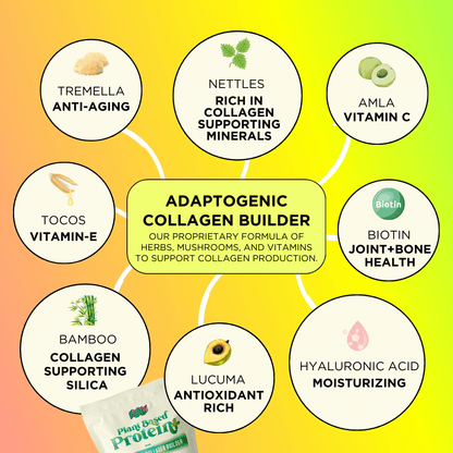 Pow Protein+ Adaptogenic Collagen Builder