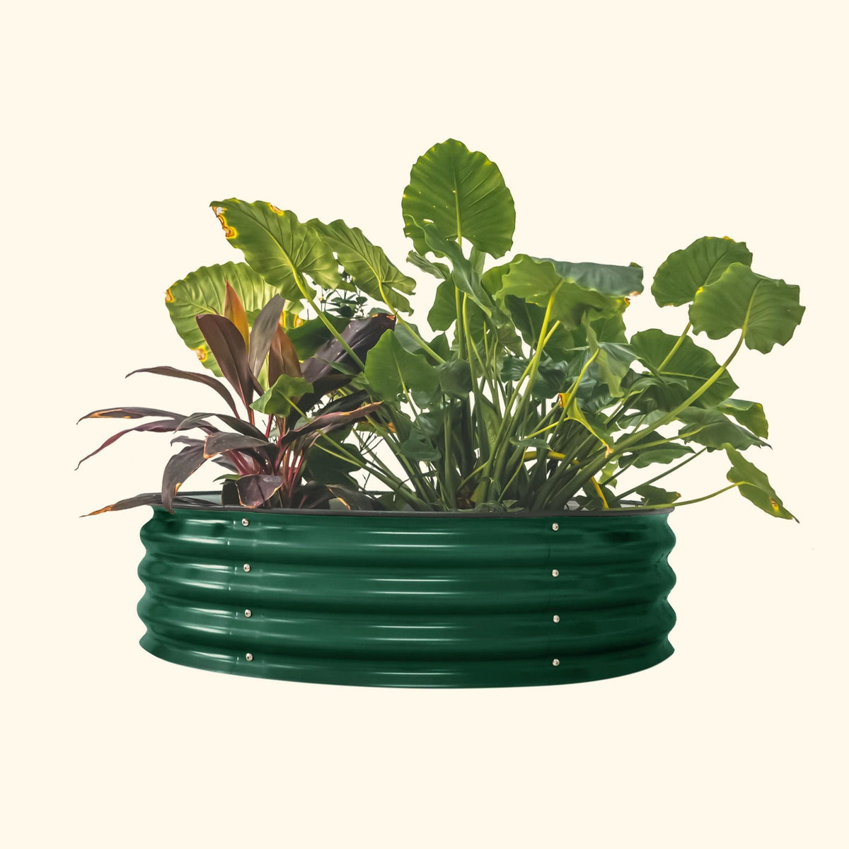 11" Tall 42" Wide Round Metal Raised Garden Bed Kit