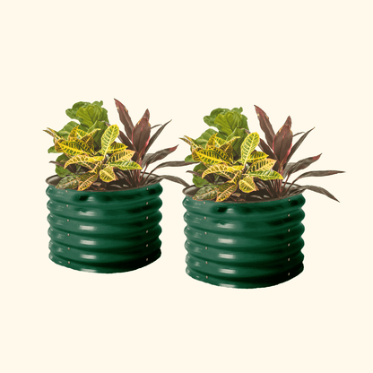 Self-Watering Planter - Twin Pack