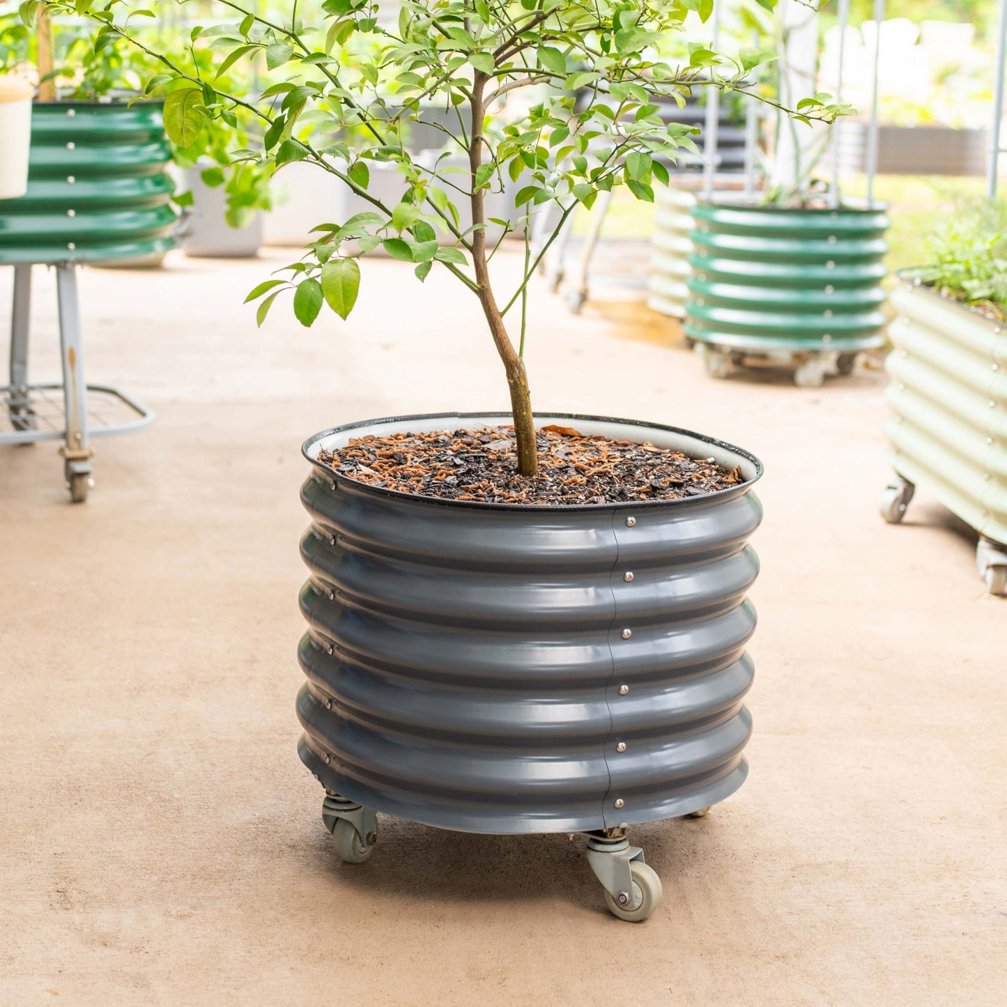 Self-Watering Rolling Planter