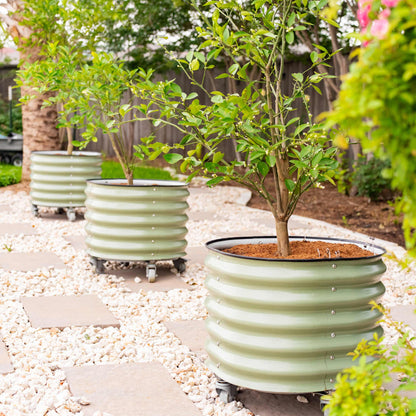 Self-Watering Rolling Planter