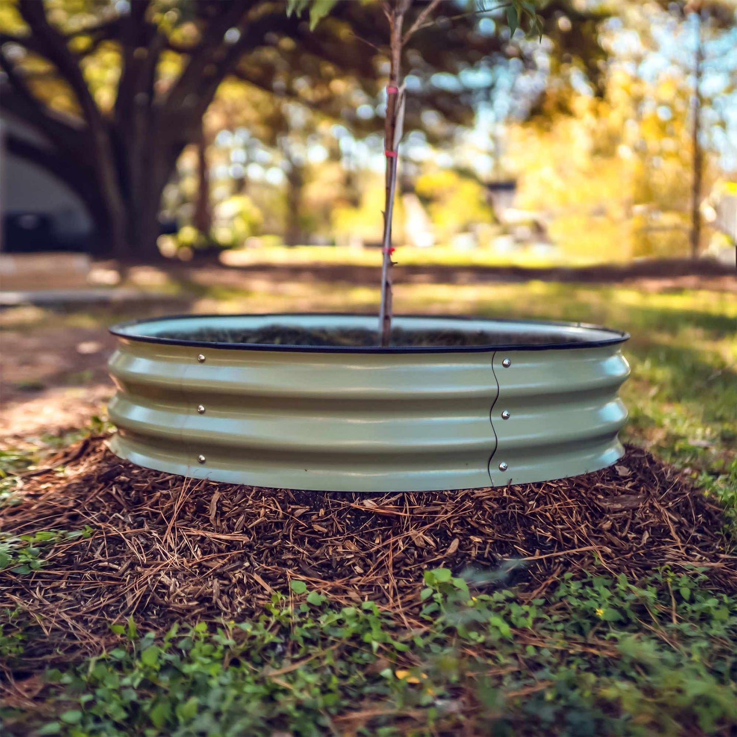 Tree Surround & Watering Ring Kit