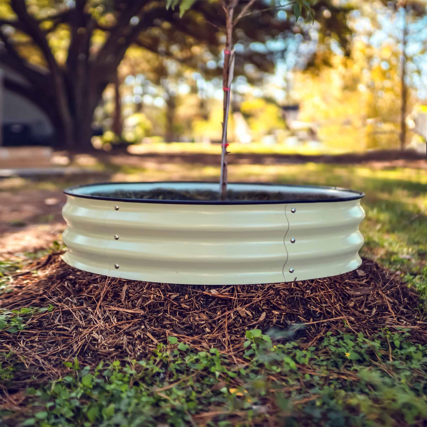 Tree Surround & Watering Ring Kit