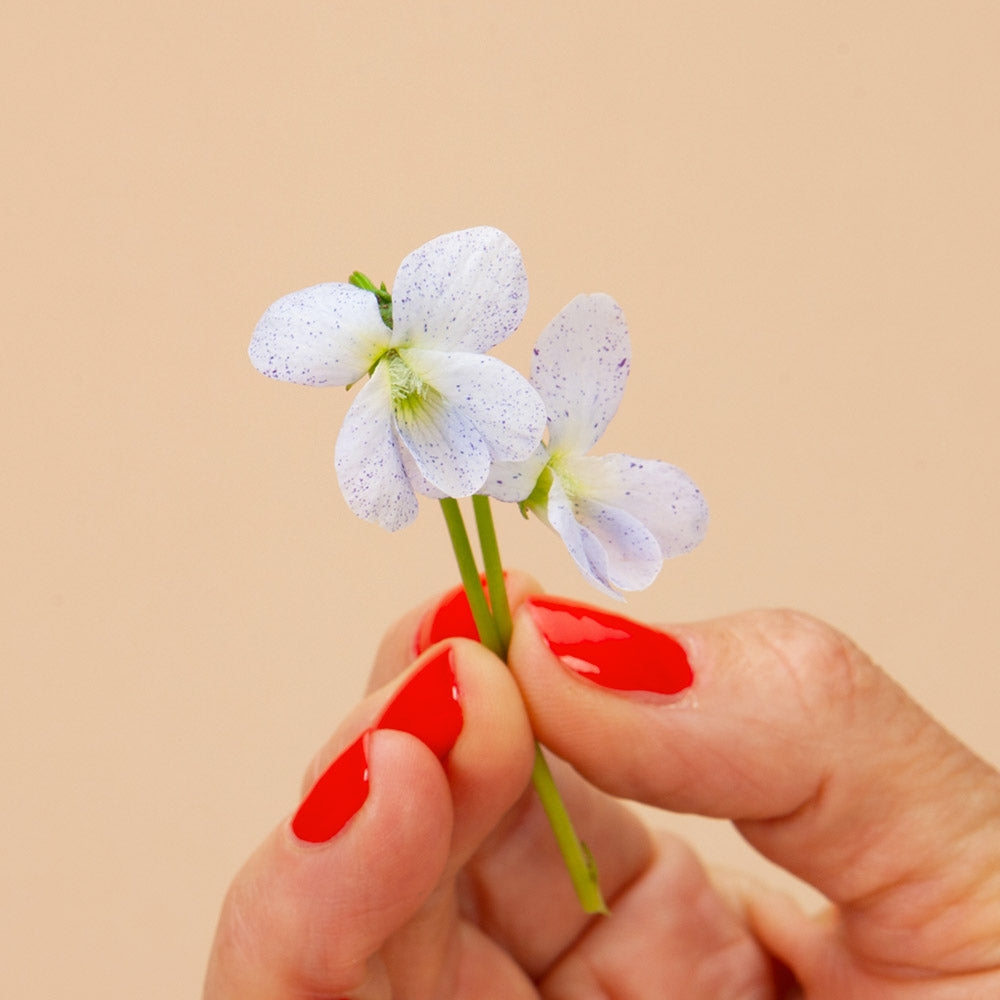 Freckles Viola Seeds