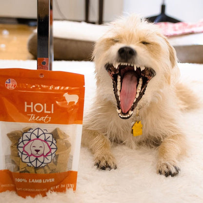 Lamb Liver Dog Treats by HOLI