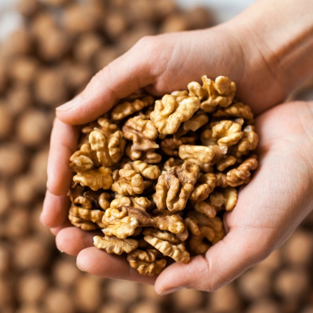 Organic Sprouted Walnut Halves