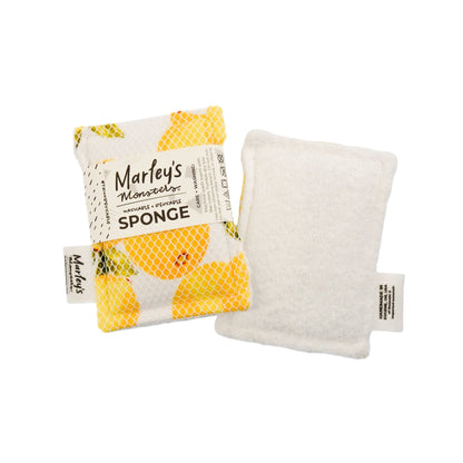 Washable Sponge