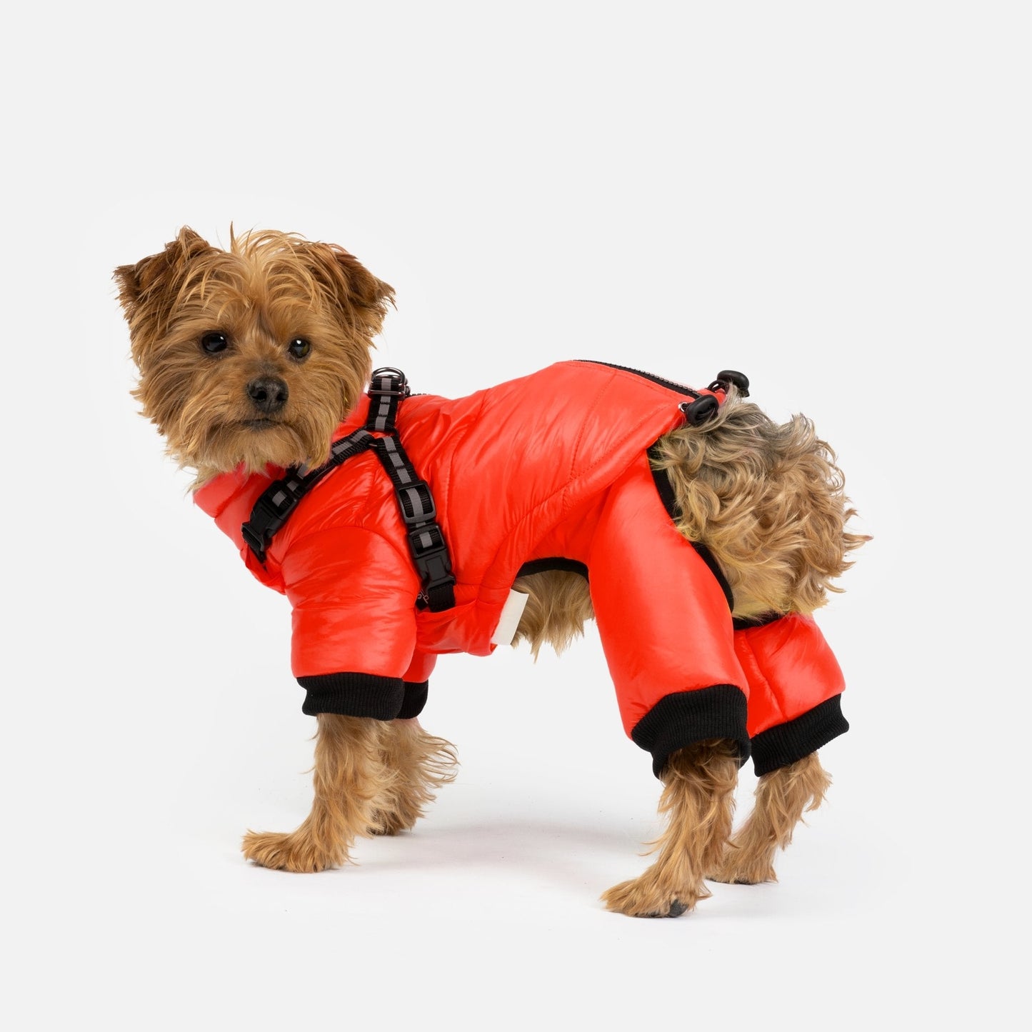 Whistler Full Body Dog Snowsuit - Red