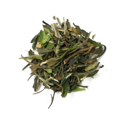 White Peony White Tea