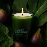 Wicked Ficus Candle