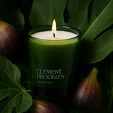 Wicked Ficus Candle