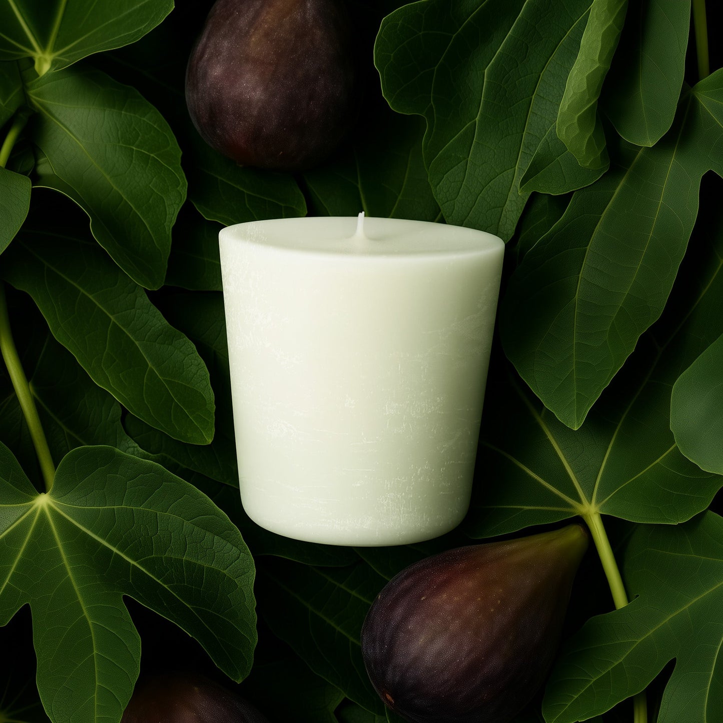 Wicked Ficus Candle Refill