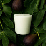Wicked Ficus Candle Refill