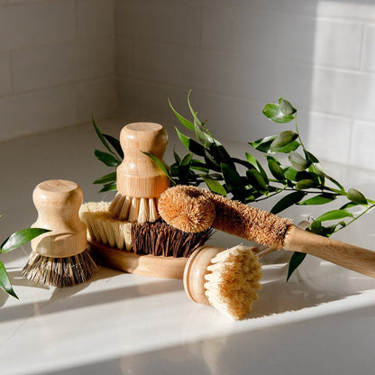 Zero Waste Dish Brush Kit