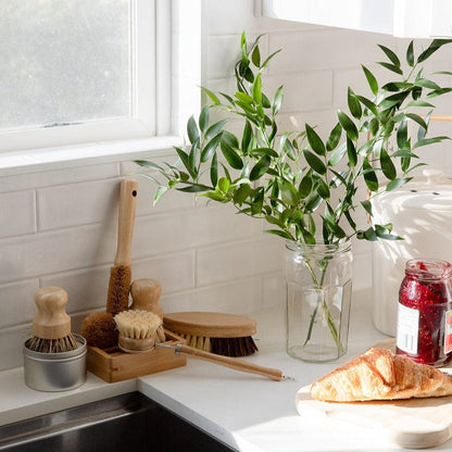 Zero Waste Dish Brush Kit