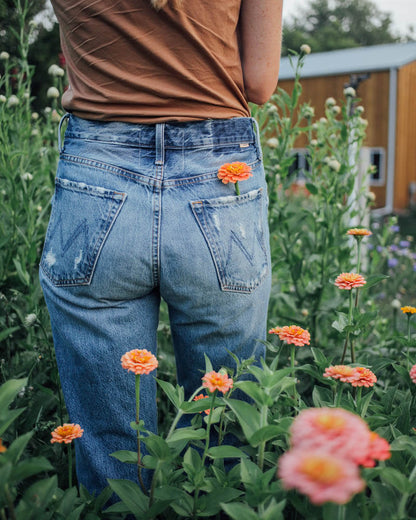 Oklahoma Salmon Zinnia Seeds