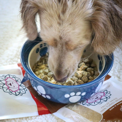 Beef Liver Dog Food Topper by HOLI